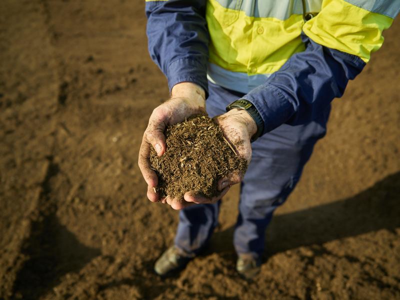 CW_Web_Asset_Organics_Tile 4