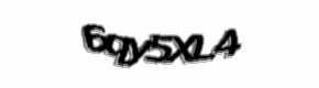 Security check image, please type the characters shown
