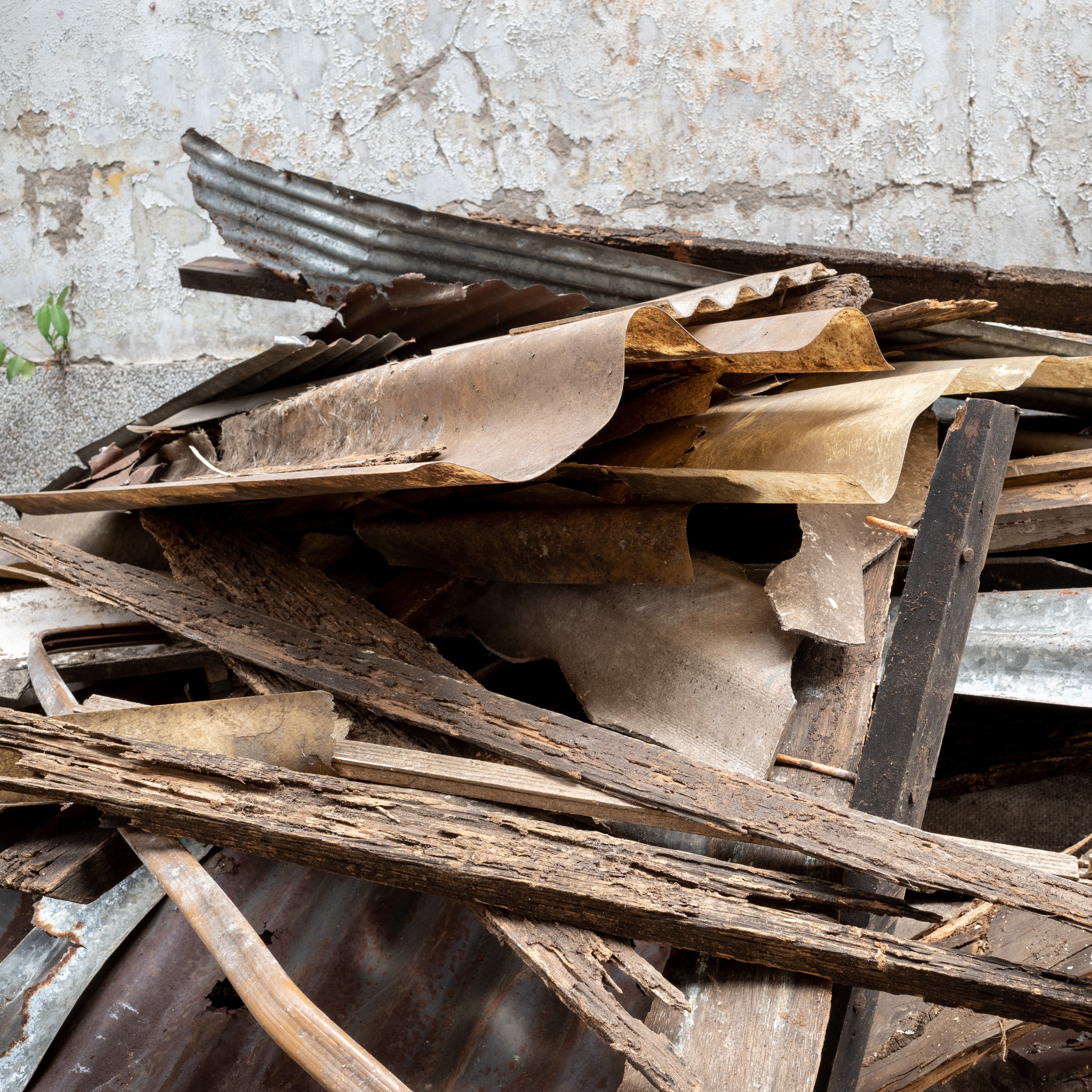 CW_Web_Asset_Skips_Tile B