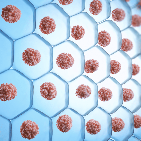3d illustration Human skin cell, stem cell colony Structure.