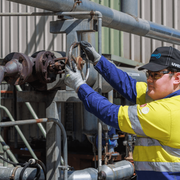 CW_Web_Asset_Oils_Tile