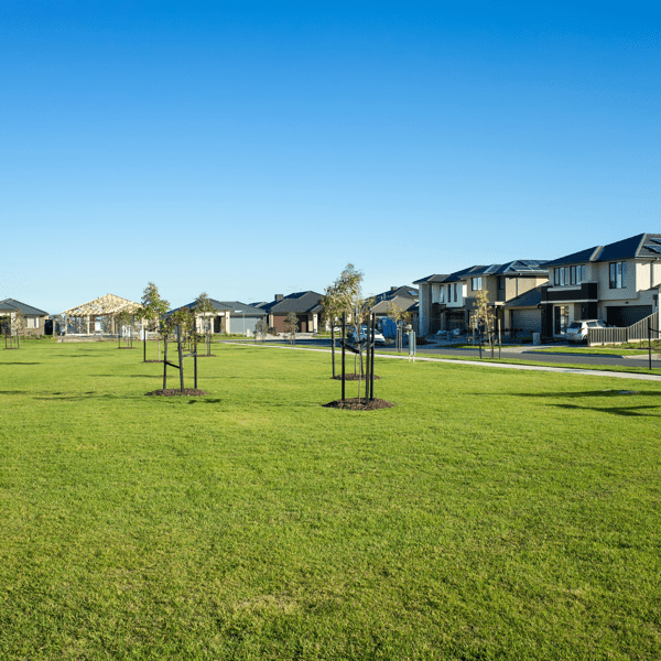A public park with green lawn/grass and young trees surrounded by new residential houses/Australian homes in a Melbourne's suburb. Tarneit, VIC Australia. Background texture of a
 suburban park.
