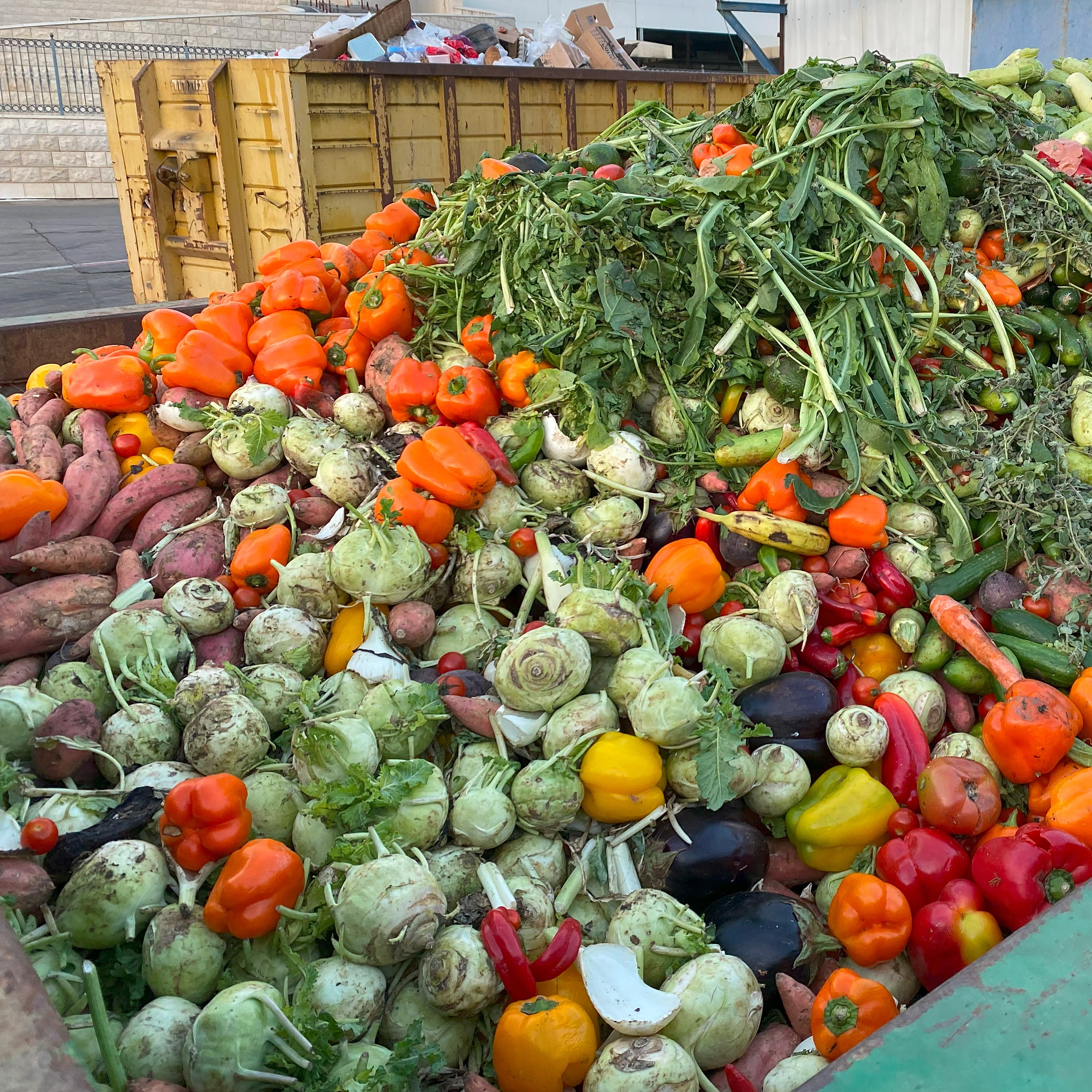 Expired Organic bio waste. Mix Vegetables in a huge container, in a rubbish bin. Heap of Compost from vegetables or food for animals.
