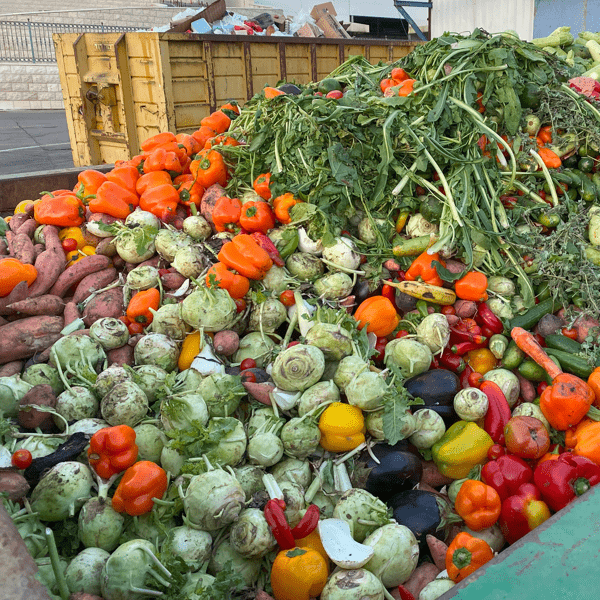 Expired Organic bio waste. Mix Vegetables in a huge container, in a rubbish bin. Heap of Compost from vegetables or food for animals.