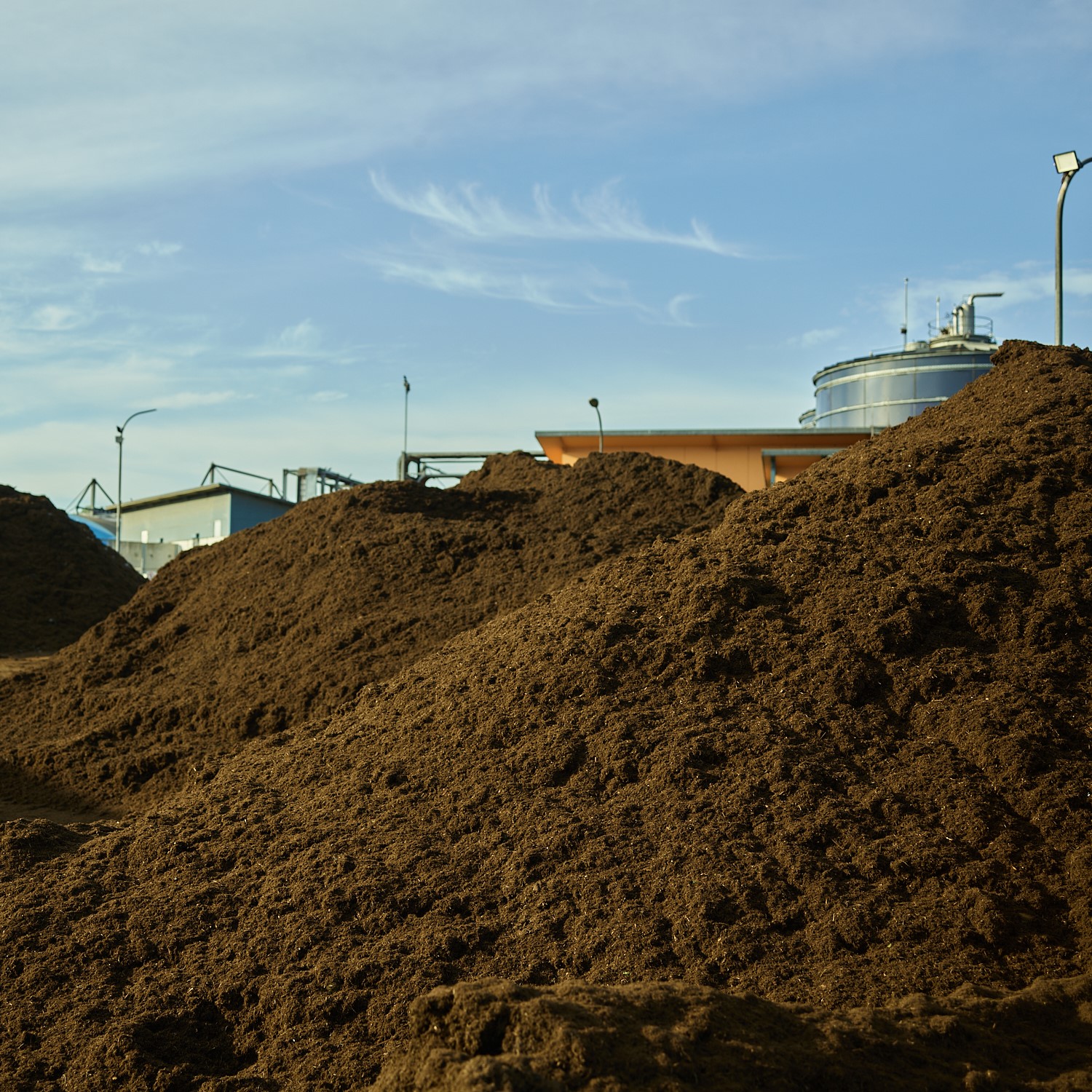 CW_Web_Asset_Organics_Tile 1