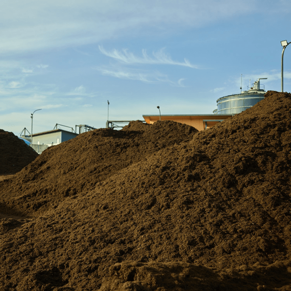 CW_Web_Asset_Organics_Tile 1