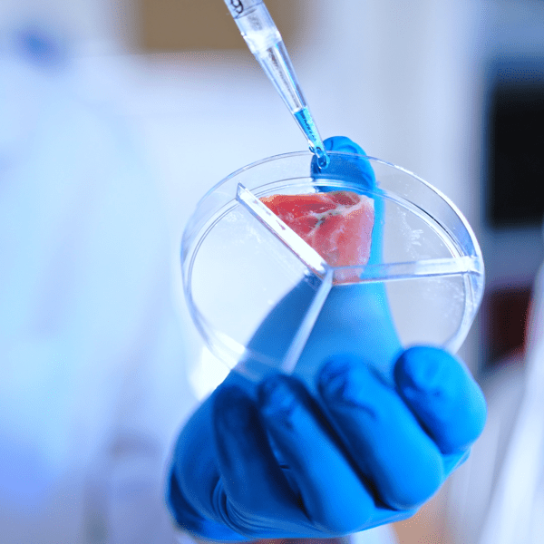 CW_Web_Asset_Food Lab