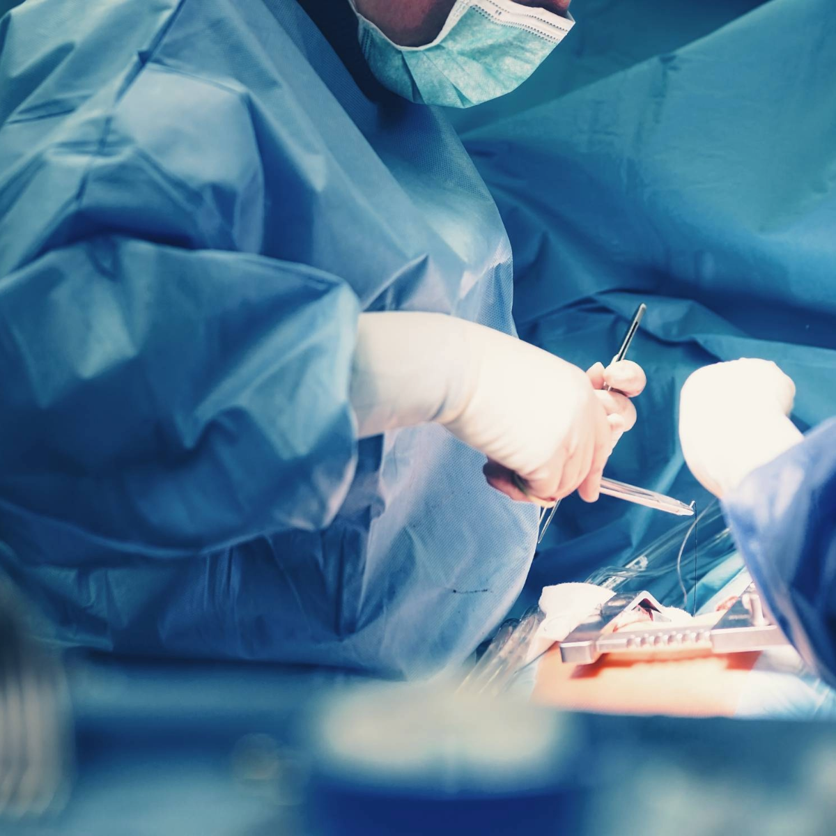 CW_Web_Asset_Anatomy_Tile