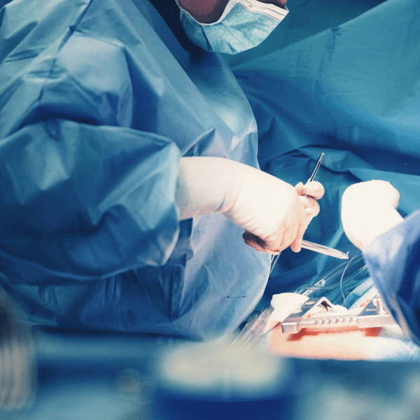 CW_Web_Asset_Anatomy_Tile