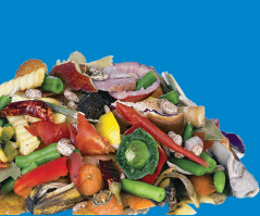 CW_Web_Asset_Misc_Waste Type_Organic