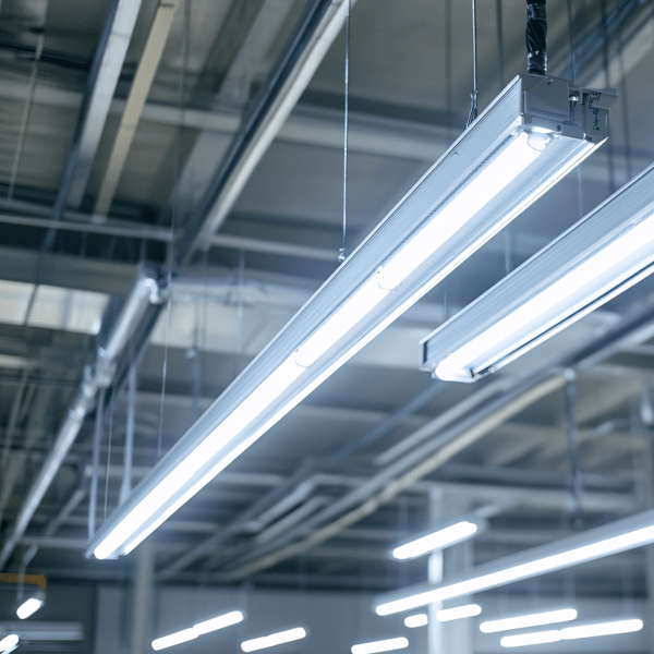 Fluorescent lights illuminate a ceiling in an industrial or commercial building.