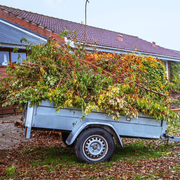 Garden waste in a wagon