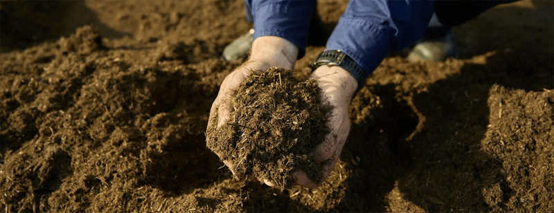 CW_Web_Asset_Organics_Hero