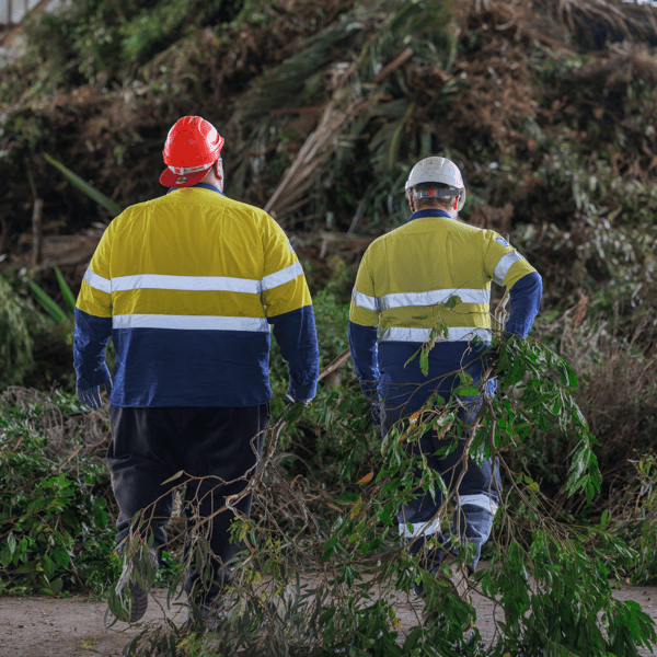 CW_Web_Asset_Garden_Organics_Tile